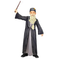 Harry Potter Dumbledore Child Costume