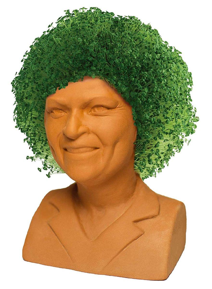 Golden Girls Chia Pet Rose Decorative Pottery Planter