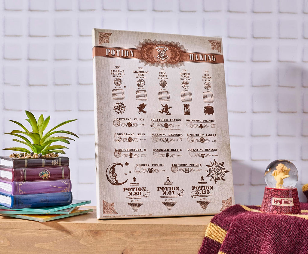 Harry Potter Potion Chart Canvas Wall Art With Magnets | 7.5 x 10 Inches