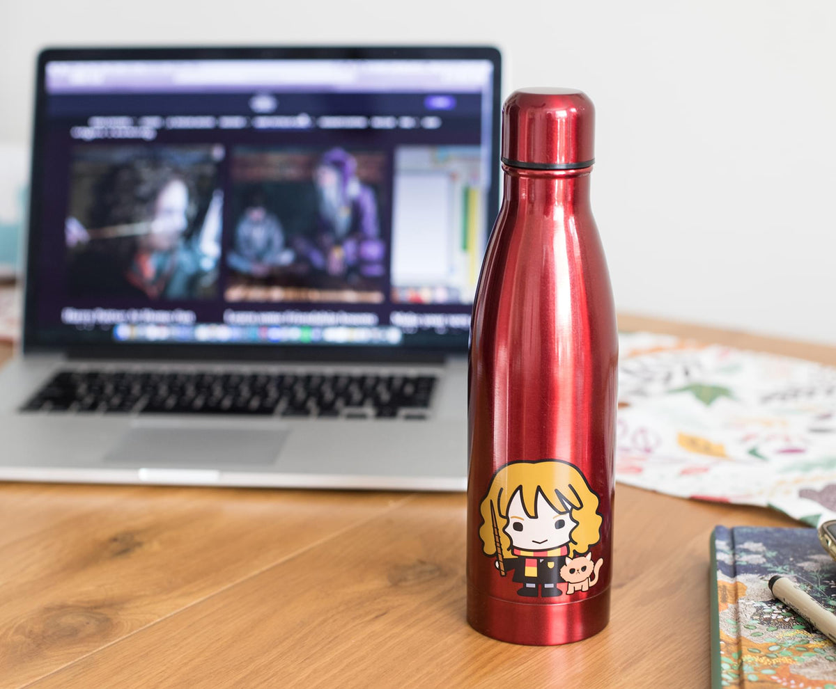 Harry Potter Hermione Aluminum Sleek Insulated 16 Ounce Travel Water Bottle